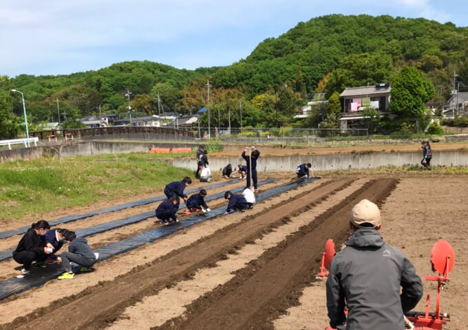 畑の植え付け作業